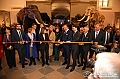 VBS_1262 - Riapre il Museo di Scienze Naturali dopo dieci anni di chiusura